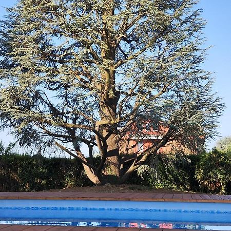 Villa Cresto Gaglianico ภายนอก รูปภาพ