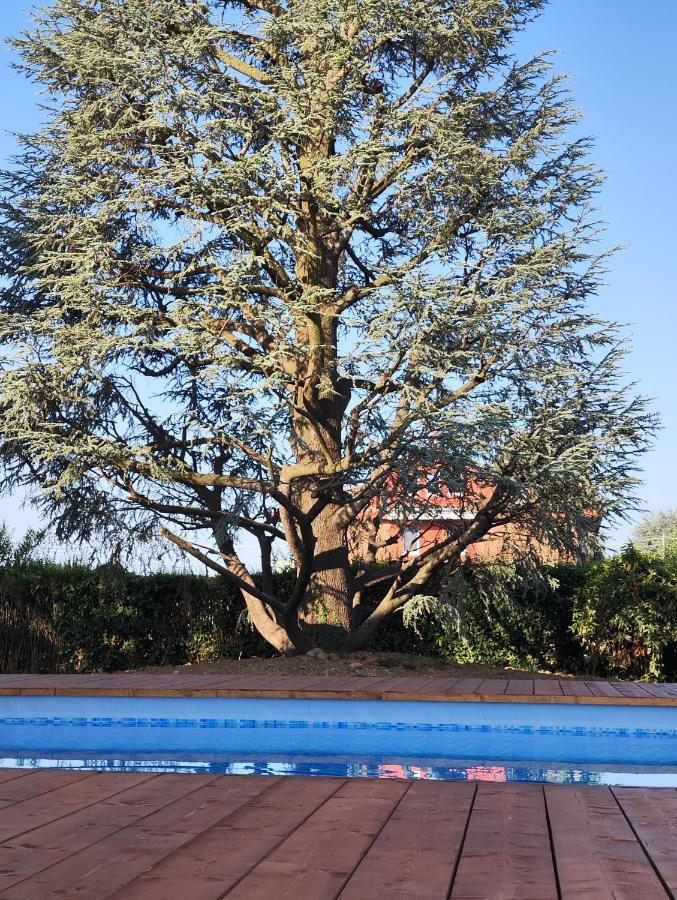 Villa Cresto Gaglianico ภายนอก รูปภาพ